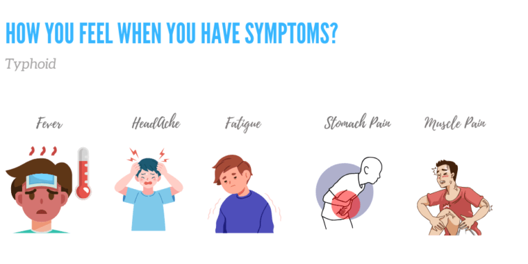 Symptoms Typhoid PPT