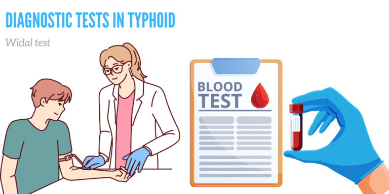 Widal test typhoid PPT